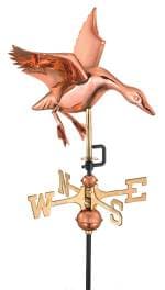 Goose
